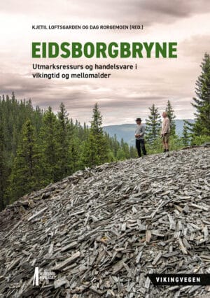 Bilde av forsida av boka Eidsborgbryne
