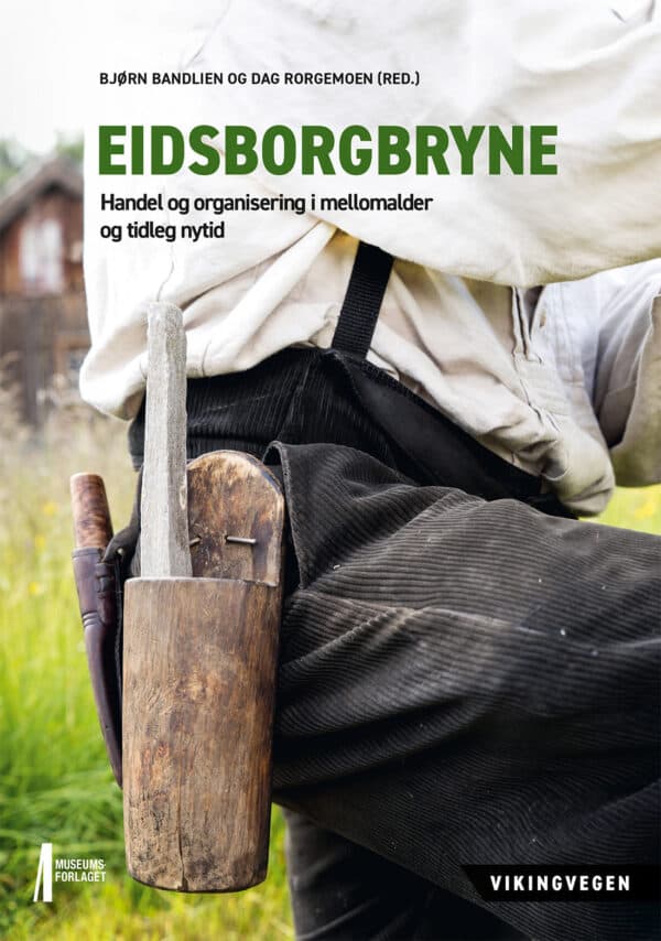 Bilde av forsiden av boka Eidsborgbryne. Vikingvegen 2