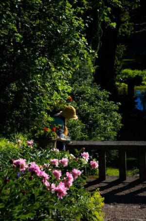 Bilde av forsiden av boka Museum som blomstrer_midlertidig bilde