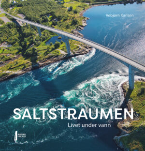 Bilde av forsiden av boka Saltstraumen