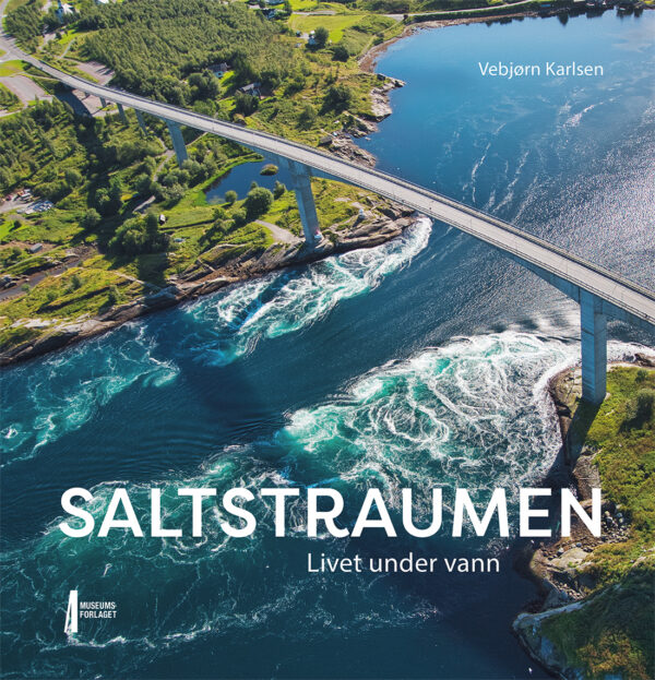 Bilde av forsiden av boka Saltstraumen